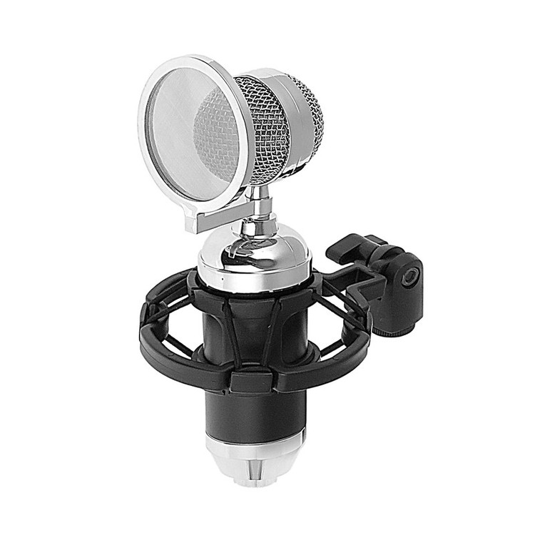 میکروفون استودیویی مدل BM3000